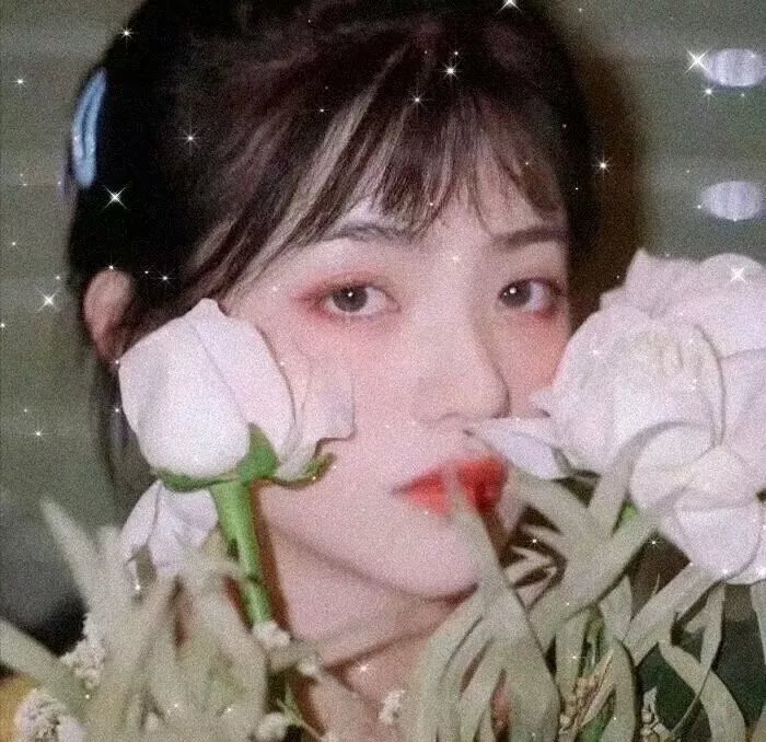 直到树枝弯曲
